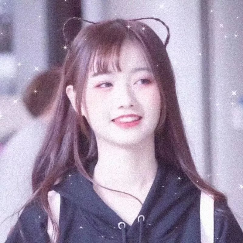 机动组第一季